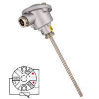 RTD01 Temperature probe PT100 with head and plain bulb in stainless steel AISI 3