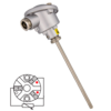 RTD01 Temperature probe PT100 with head and plain bulb in stainless steel AISI 3